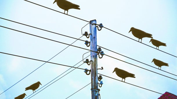 Big Data: Twitter gibt Heron-Quellen knapp ein Jahr nach Ankündigung frei