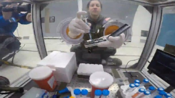 ISS-Astronauten experimentieren mit DNA