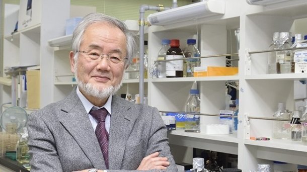 Zellbiologe Yoshinori Osumi erhält Nobelpreis für Medizin und Physiologie