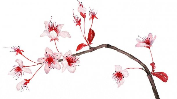 Ruby-Framework Hanami 1.0 veröffentlicht