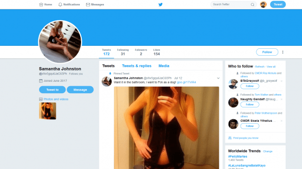 Forscher legen zehntausende Porno-Spambots auf Twitter trocken
