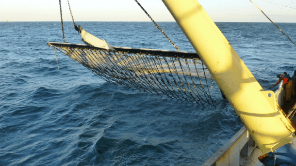 Fischerei: Neue Elektronetze für Fischkutter