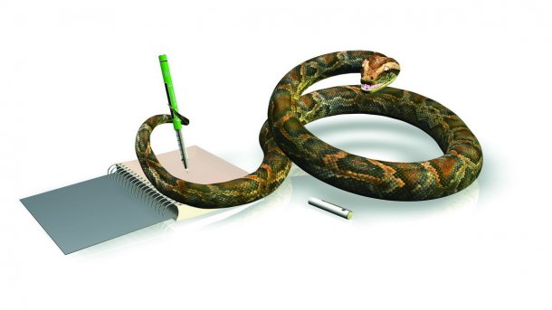 Die SciPy-Bibliothek erreicht endlich Version 1.0