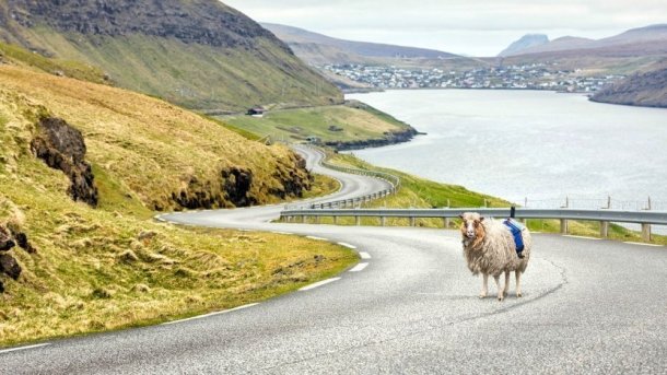 Färöer-Inseln: SheepView statt Google StreetView