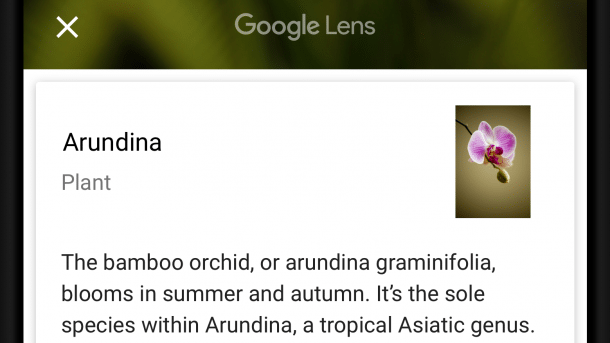 Google-Bilderkennung Lens für alle Android-Smartphone und sogar iOS