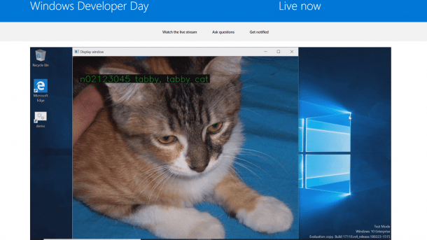 Microsoft Windows ML erkennt Katze