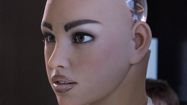 Human-Robot Interaction: "Robo-Rassismus" und Sex mit Maschinen