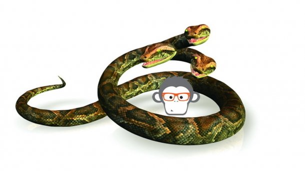 Anaconda-Report: Gute Zukunftsaussichten für Python und R
