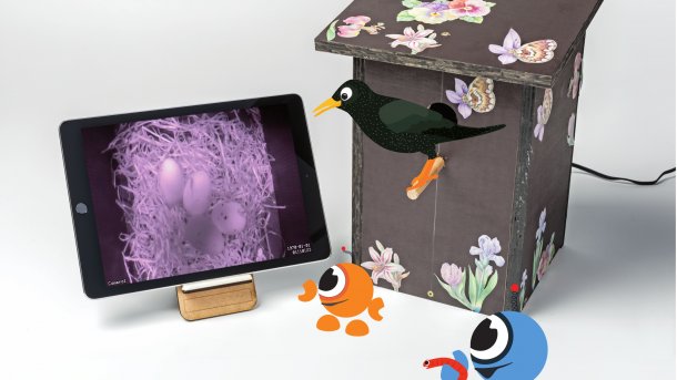 Ein Tablet neben einem Vogel-Nistkasten. Auf dem Tablet ist ein Nest mit vier Eiern zu sehen.