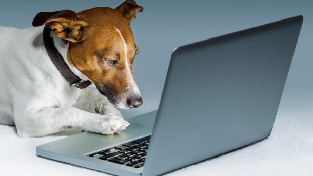 25 Jahre Hunde im Internet – ein Cartoon erklärt das Netz