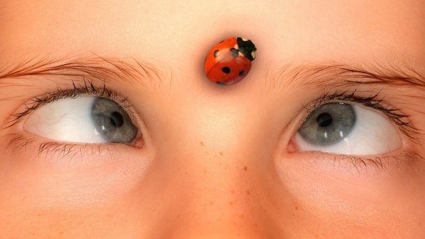 Kind schielt auf einen auf der Stirn sitzenden Marienkäfer