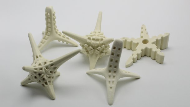 Korallensterben: Besiedlungsstrukturen aus dem 3D-Drucker sollen bei der Aufforstung helfen