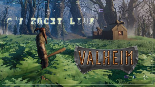 c't zockt live: Valheim