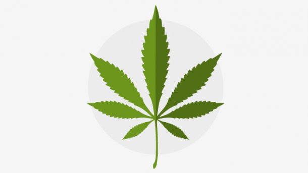 Statistik der Woche: Cannabis als Medizin