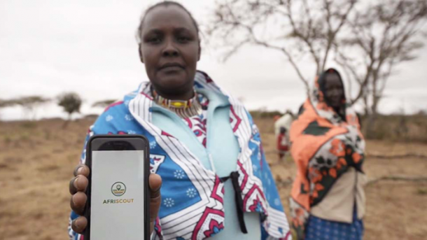 App für Afrika: Wo das Gras grüner ist