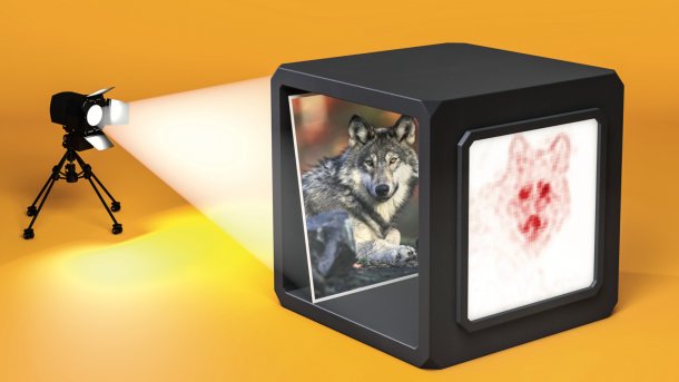 Interpretierbare KI: Künstliche Intelligenz verstehen können