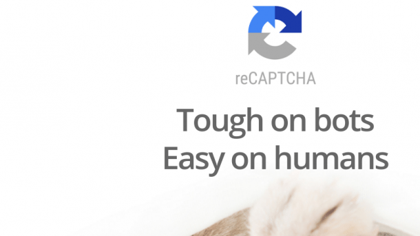 Katze, darüber "reCpatcha - Tough on bots - Easy on humans"