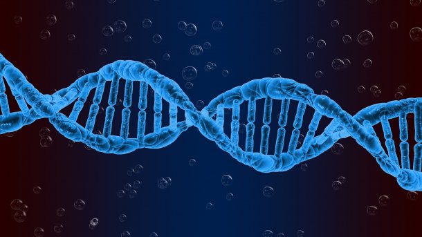 Spurensuche im Kleinen – DNA-Analyse hilft bei Verbrechensaufklärung