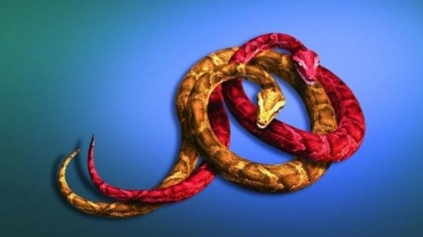 PyPy 7.0 unterstützt Python 3.6 experimentell