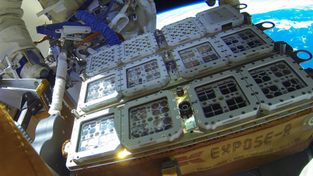 ISS: Überlebensexperimente mit Organismen von der Erde