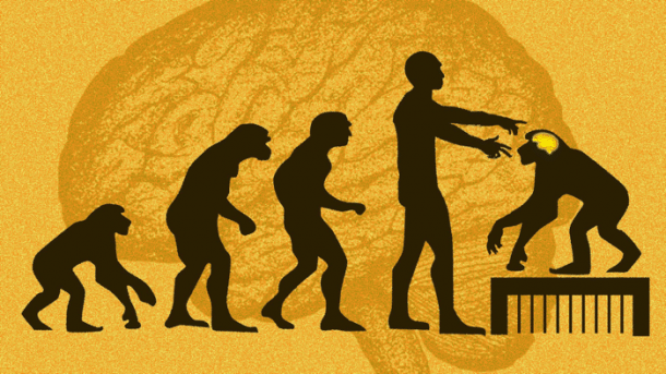 Schlaue Affen durch menschliche Gene?