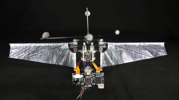 Kleiner Flugroboter: Manöver wie ein Kolibri