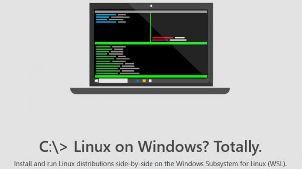Arch Linux im Windows Subsystem for Linux: Mit Vorsicht zu behandeln