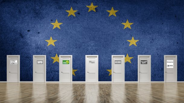 Programme und Positionen zur Europawahl 2019: Die Grünen
