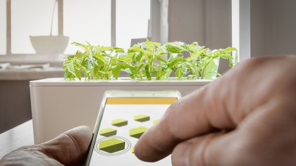 Smart Garden: Grüner Daumen inklusive mit Smart Indoor Gardening