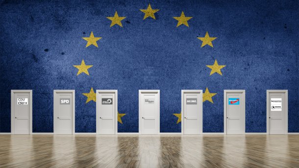 Programme und Positionen zur Europawahl 2019: AfD