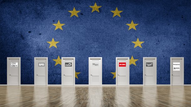 Programme und Positionen zur Europawahl 2019: Die Linke