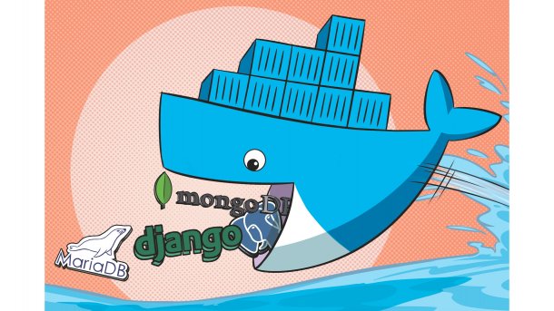 Django-Webanwendungen in Docker-Containern betreiben