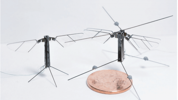 Roboterinsekten fliegen immer realistischer