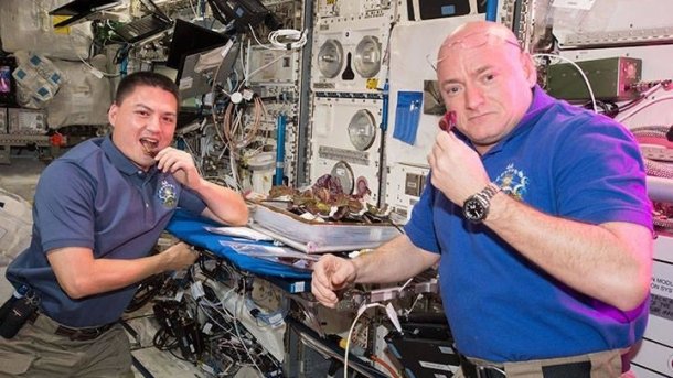 Hefe im Weltall – Forscher suchen Vitaminquelle für Raumfahrer