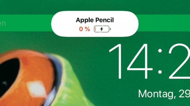 Apple Pencil leer