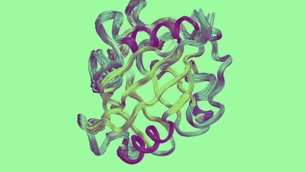 Mathematik erleichtert die Ermittlung von Proteinstrukturen