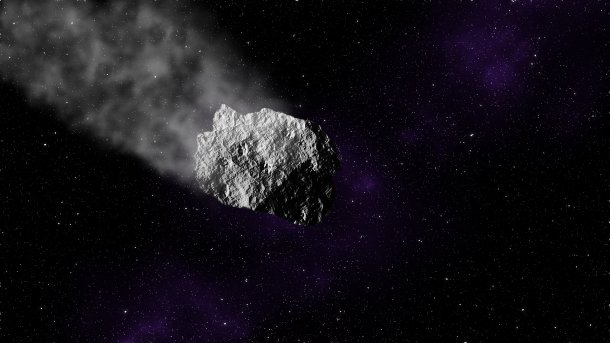 Studie: Asteroiden-Crash steigerte Artenvielfalt auf der Erde