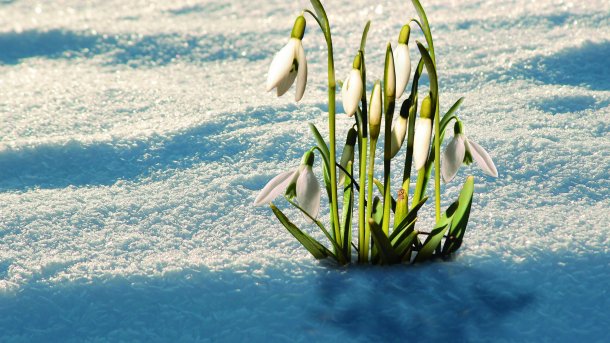 Spring Framework 5.2 bietet engere Verzahnung mit Kotlin 1.3