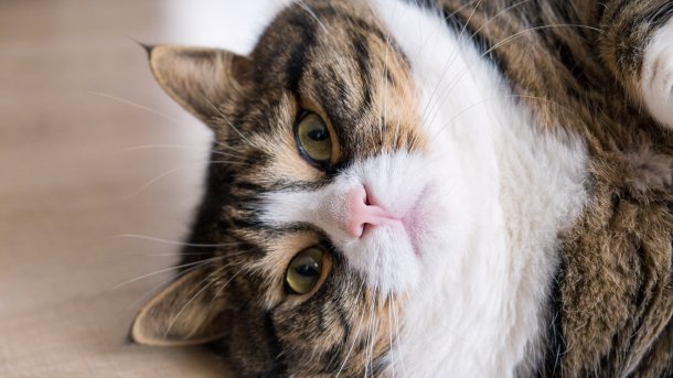 l+f: Den Fortschritt in seinem Lauf…