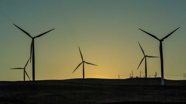 Windbranche: Bundesregierung macht fatale Fehler