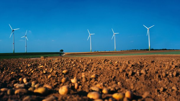Windbranche: Schleswig-Holstein muss wieder Nr. 1 werden