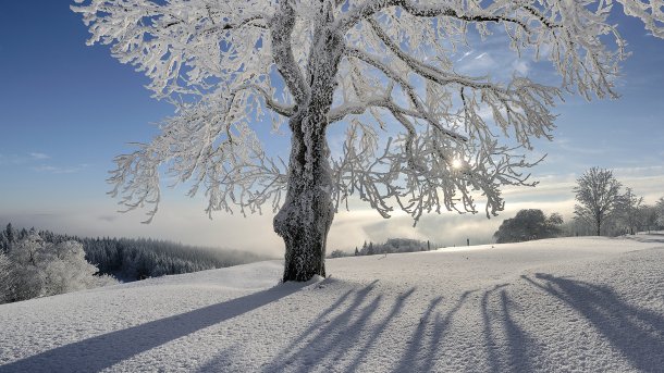 Klarheit, Stille, Melancholie: Die Stimmungen des Winters fotografieren
