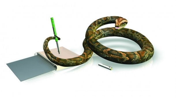 Python-Bibliothel pandas in Version 1.0 erschienen