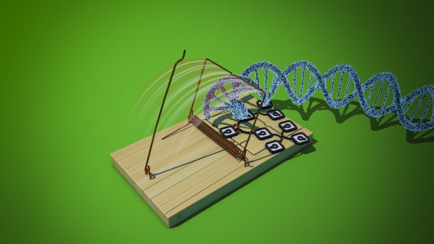 Datensammler entdecken die DNA ihrer Kunden als Kapital