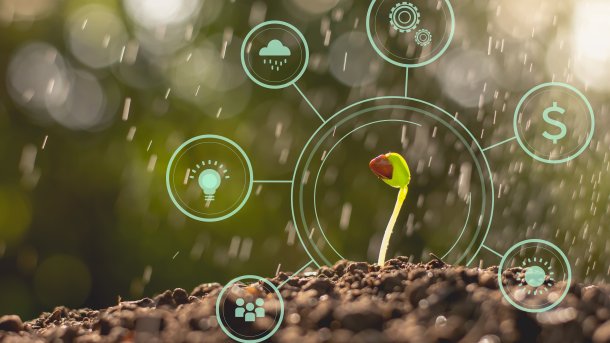 Spring Tools 4.6.0 versprechen mehr Leistung für Spring Boot