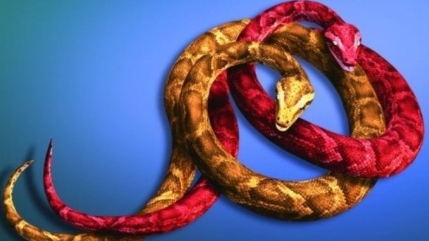 Bye, Bye, Python 2: Das letzte Release bedeutet das End of Life für Python 2