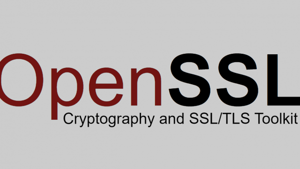OpenSSL: Neue Version schließt Denial-of-Service-Lücke