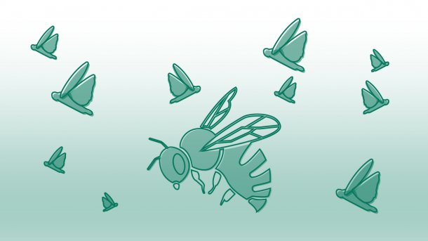 Statistik der Woche: Insektensterben