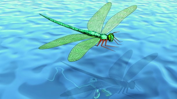 Applikationsserver WildFly 20 bereinigt zahlreiche Fehler