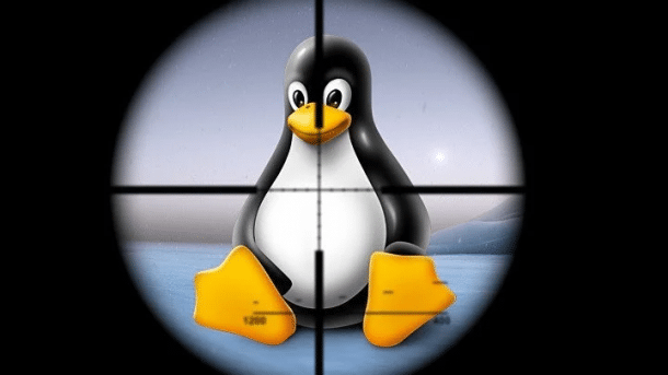 Online-Workshop: Linux-Server absichern
